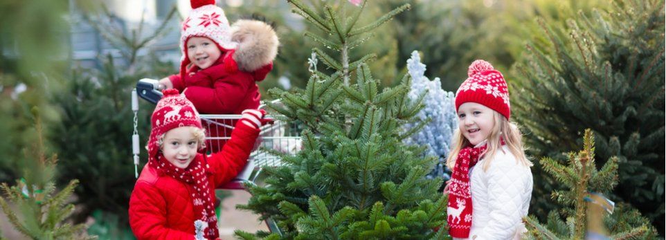 3 Kinder in rot gekleidet bei einem Tannenbaumverkauf