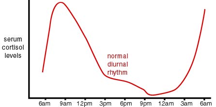 Circadian Rhythm