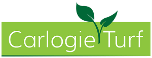Carlogie Turf logo