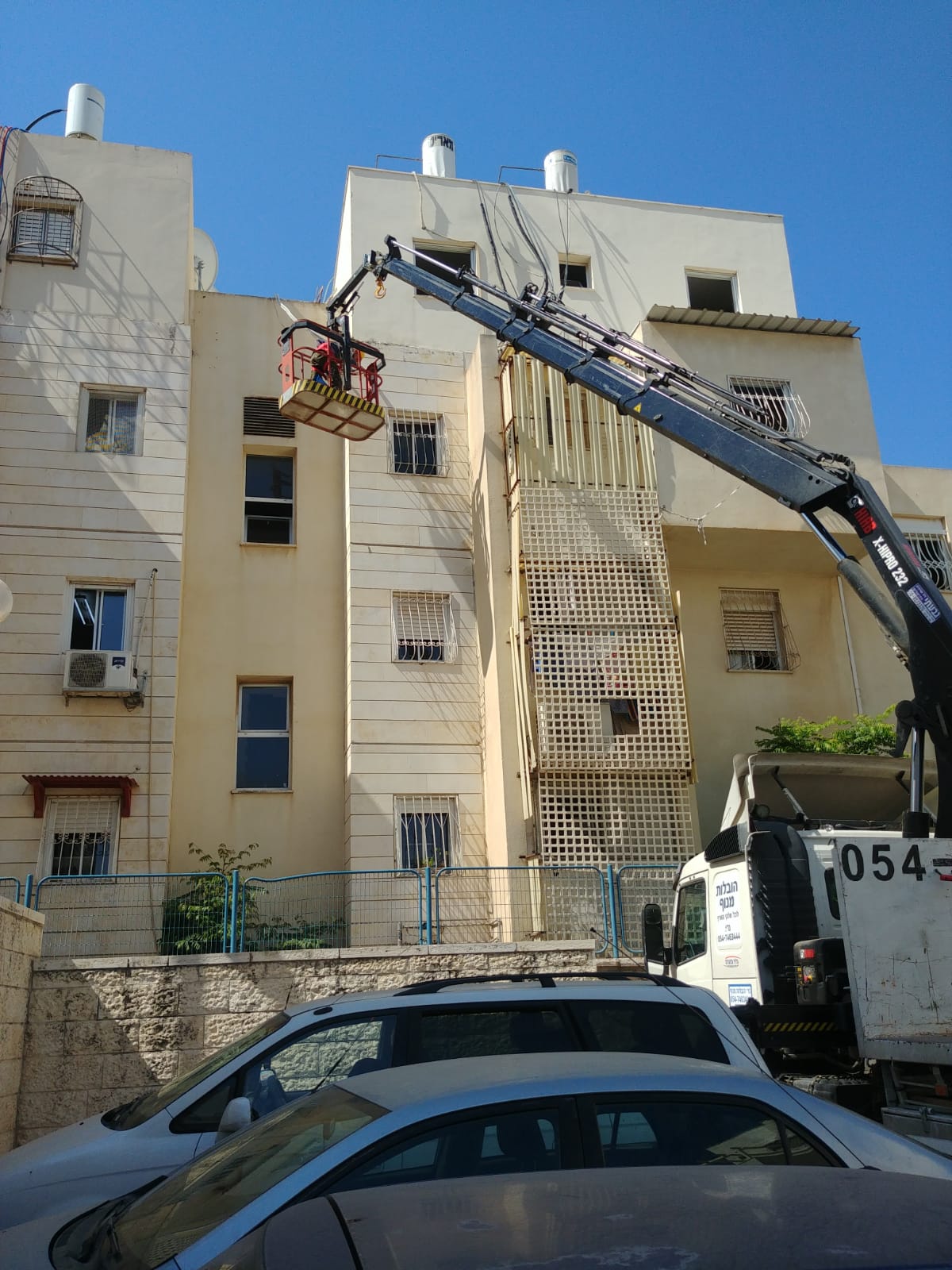 זיפות