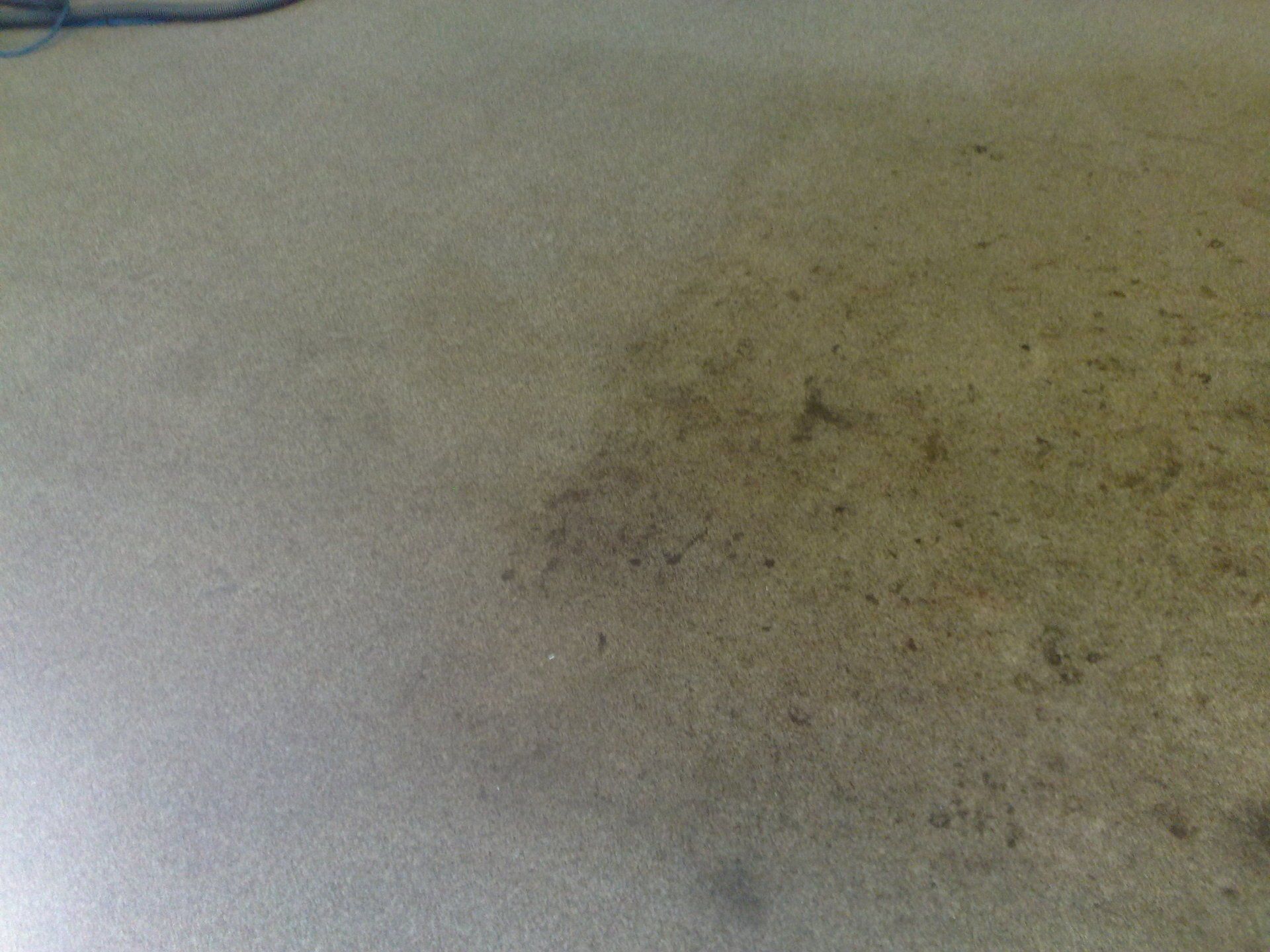 before and after cleaning a wall