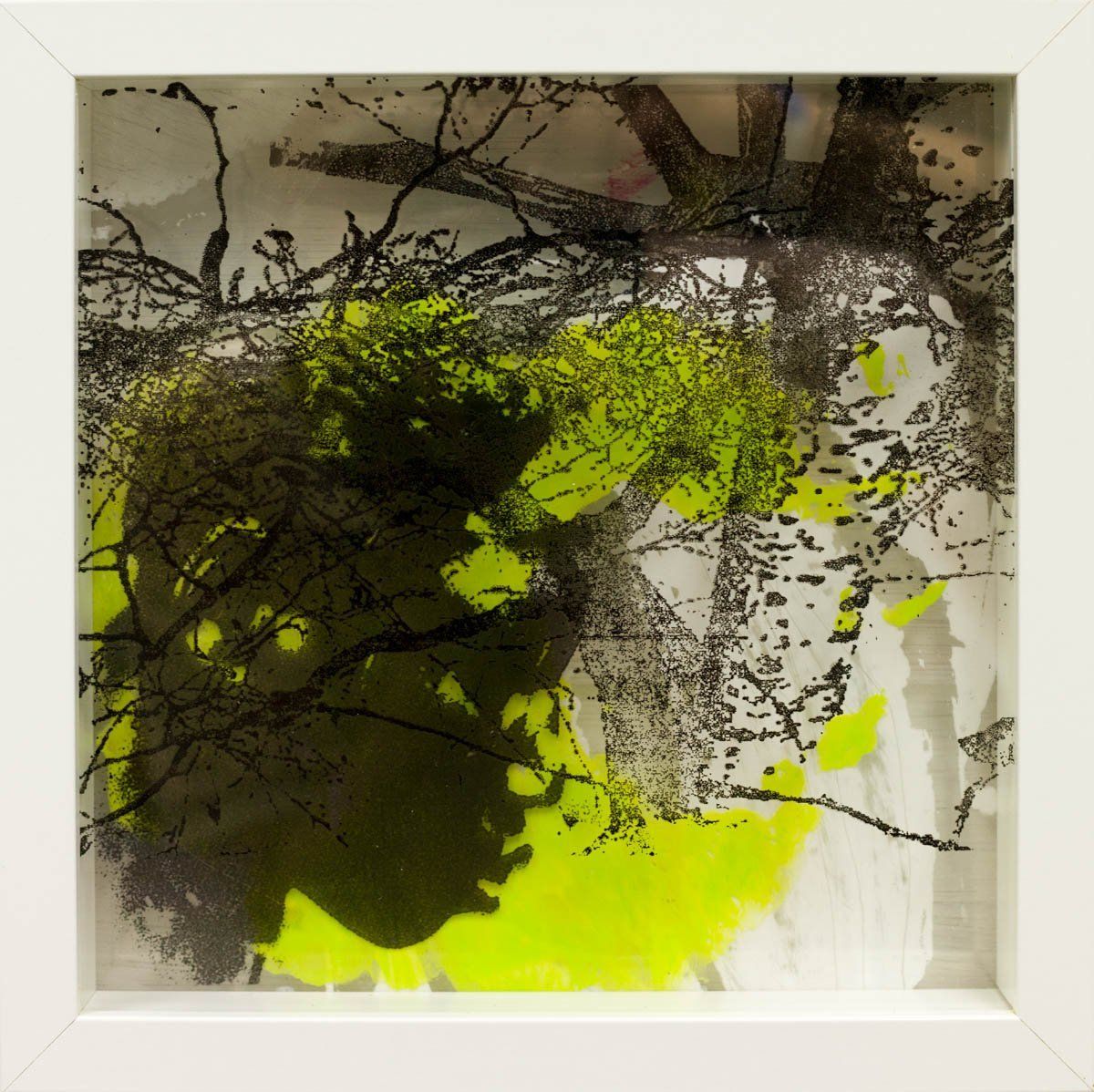Mixed Media,Plexiglas