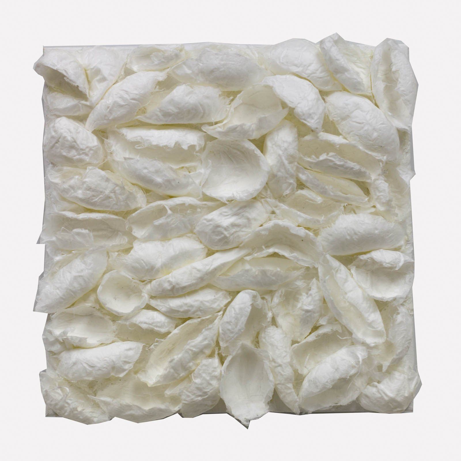 Papier,Holz