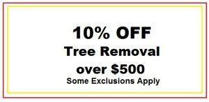 tree coupon 2