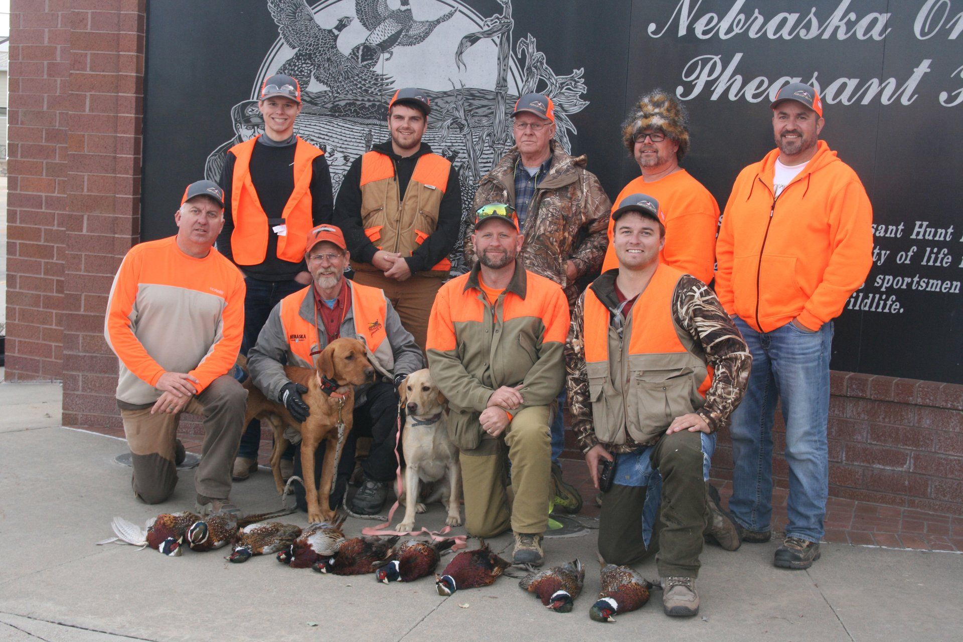 Group of hunters posing with pheasant, outdoors. Wearing orange vests and hats, with two dogs.