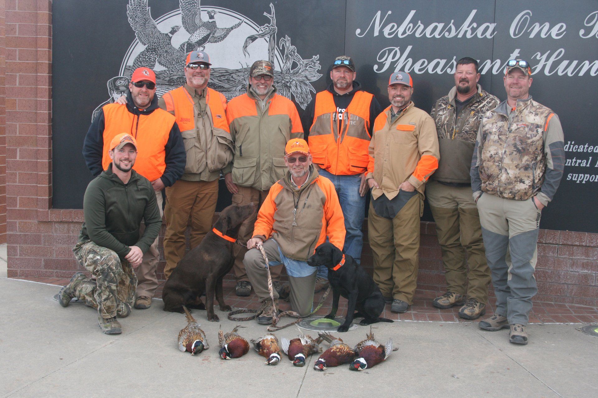 Group of hunters in orange vests pose with dogs and harvested pheasants in front of a building.