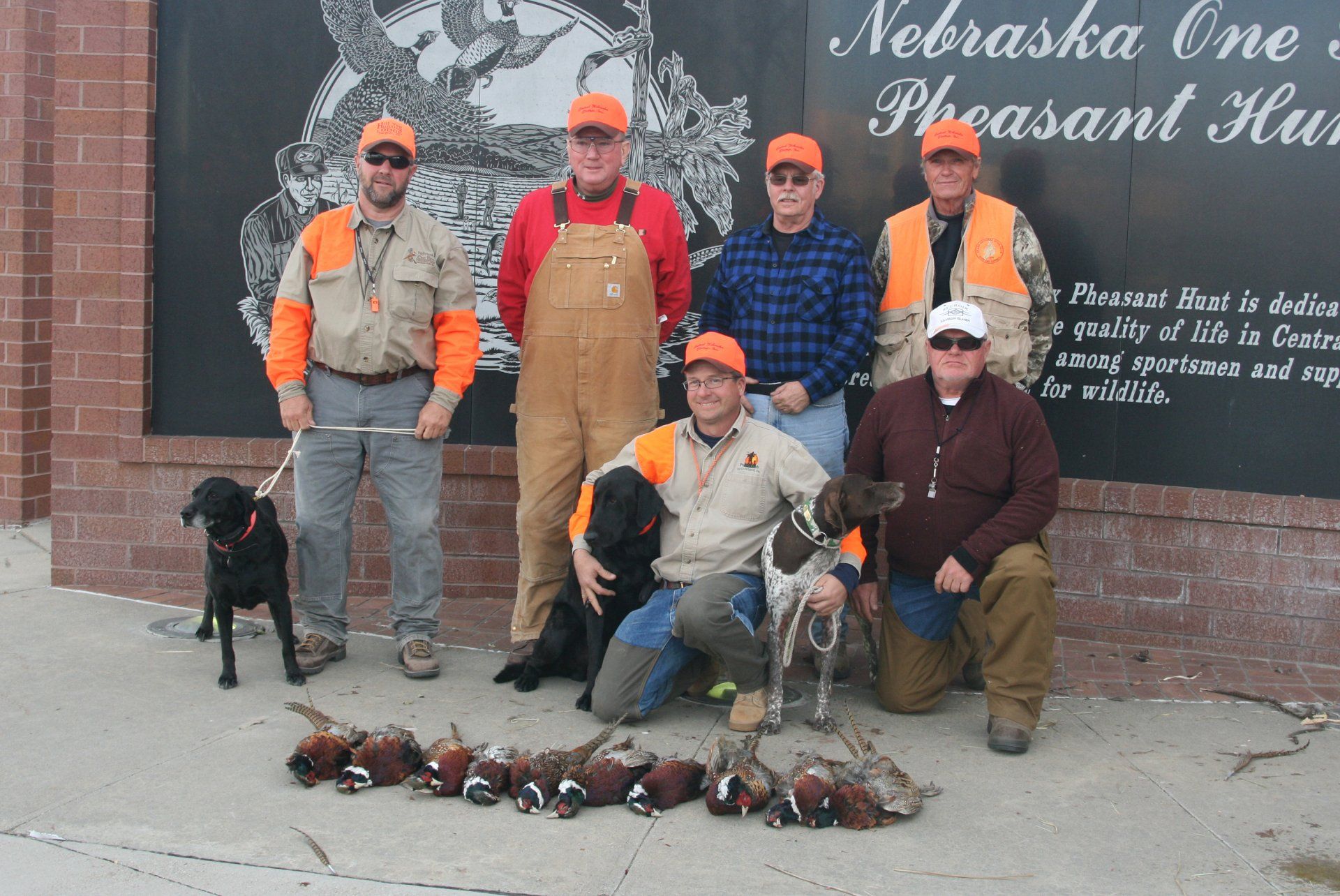 Group of pheasant hunters with dogs and the day's haul in Nebraska, posed in front of a mural.