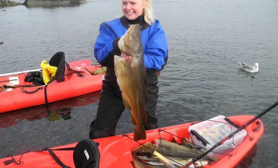 Kayak Iceland
