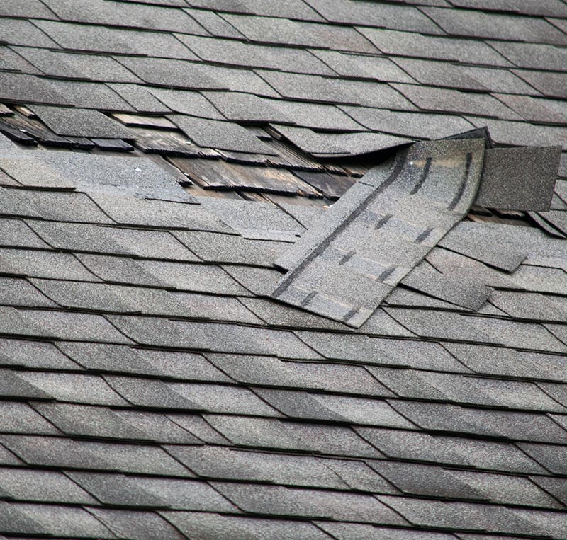 Man Cutting Shingle — Petal, MS — Anthony Pearson Roofing