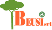 BEUSI-LOGO