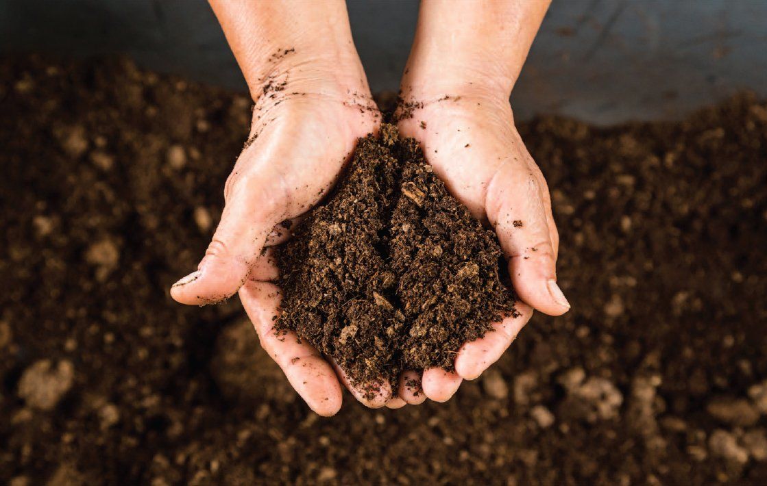 compostaggio scarti vegetali