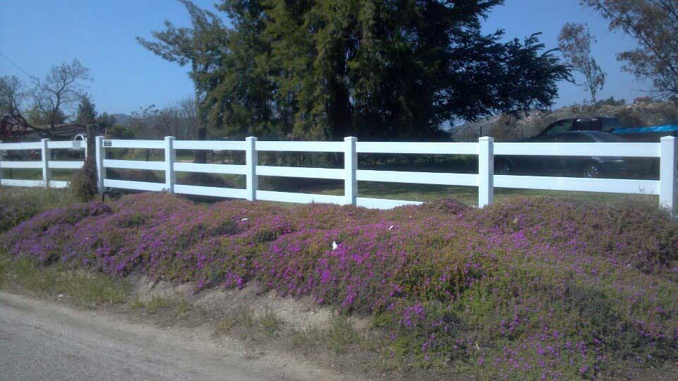 White three-rail fence with purple flowering ground cover alongside a road on a sunny day.