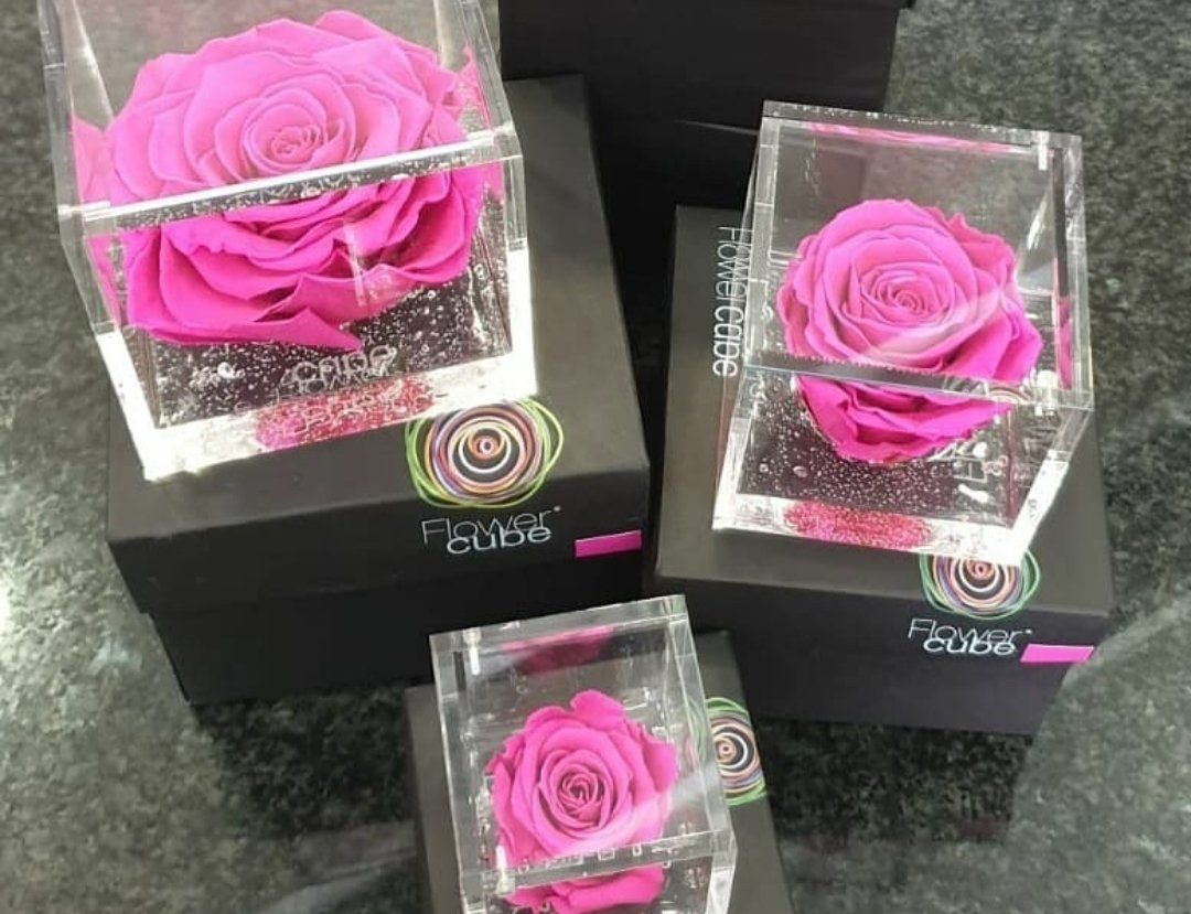 rose1