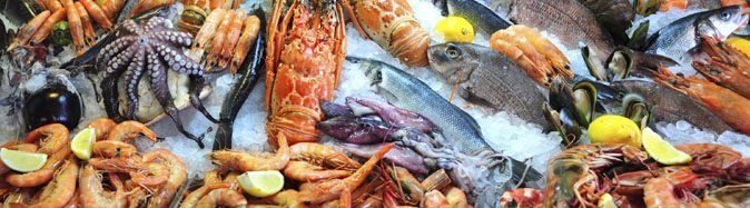 Fresh Seafood - Meat and Seafood Market in Denver, CO Fresh Seafood - Meat and Seafood Market in Denver, CO
