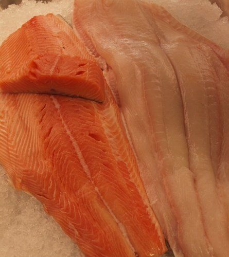 Salmon & Halibut 1