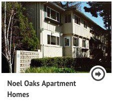 Noel Oaks