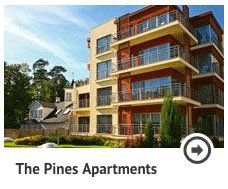 The pines