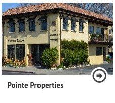 Pointe Properties