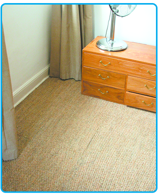 carpet