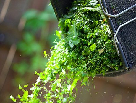 Garden waste removal