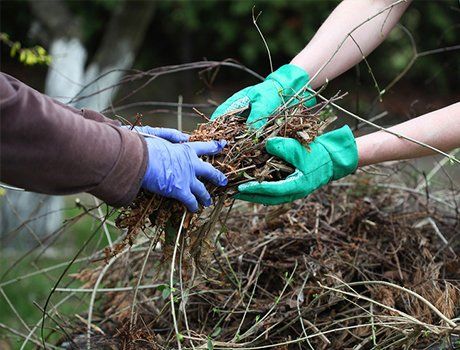 garden and garage clearance