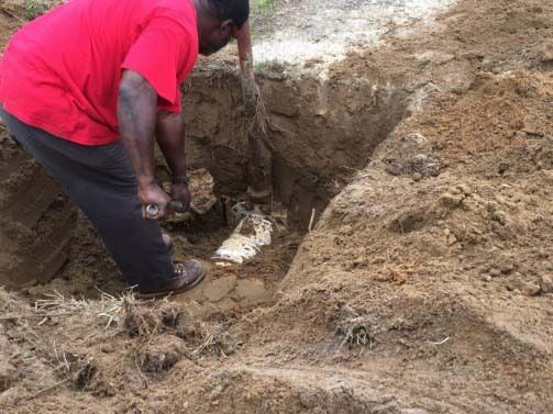 SC Board Certified — Man Digging the Soil in Aiken, SC