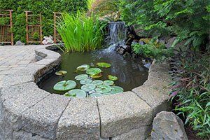 ponds — tree services in Pocatello ID