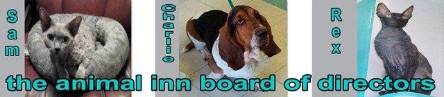 Animal Inn Board of Directors — Las Vegas, NV — The Animal Inn