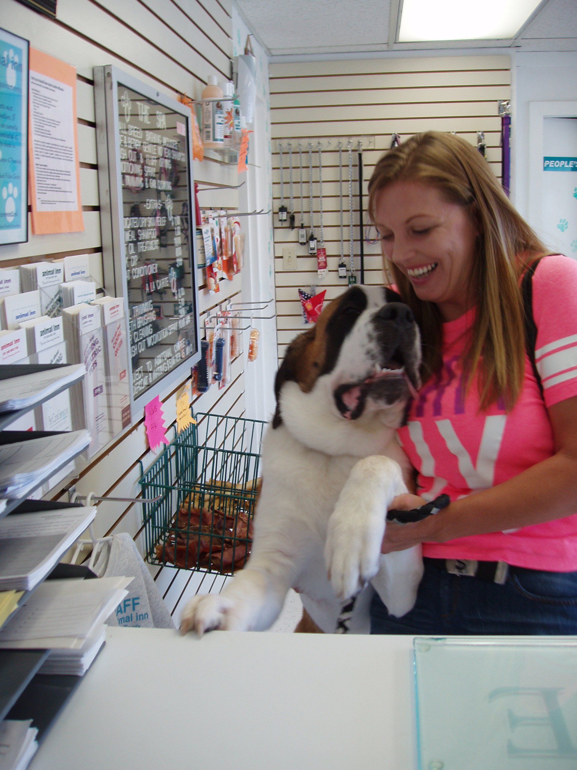 Animal Inn Customer Check In — Las Vegas, NV — The Animal Inn