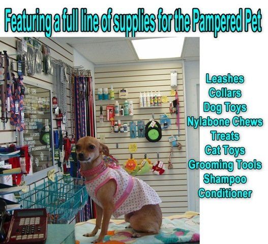 Pet Supplies — Las Vegas Strip, NV — The Animal Inn Pet Supplies — Las Vegas Strip, NV — The Animal Inn