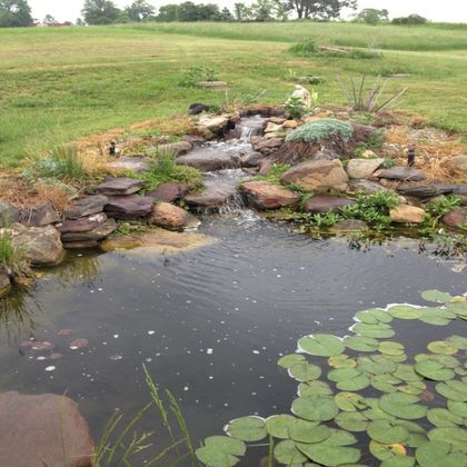 dry creeks