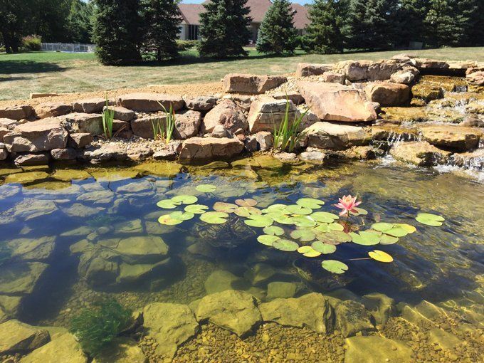 water ponds