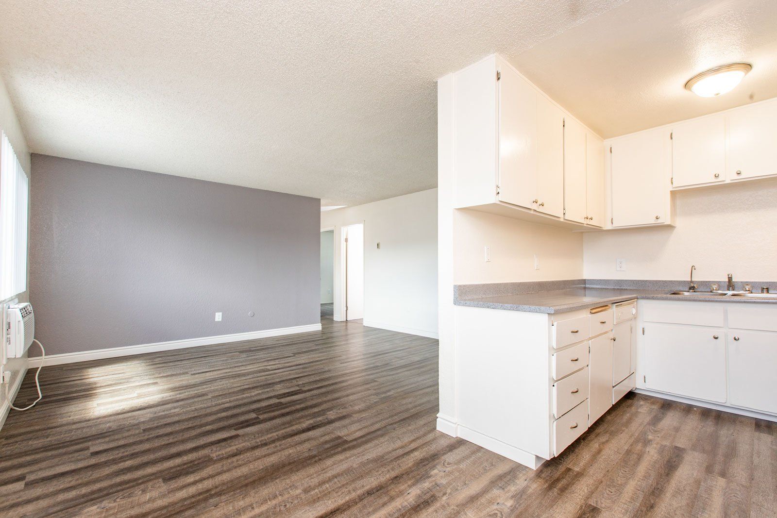 Empty open-plan kitchen and living room with gray walls, white cabinets, and wood-look flooring.