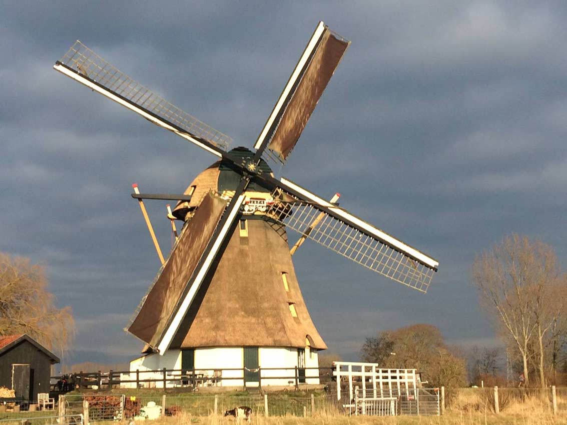 A Windmill — Lexington, KY — Fantasy Stays