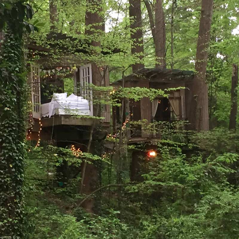 Two Tree House — Lexington, KY — Fantasy Stays