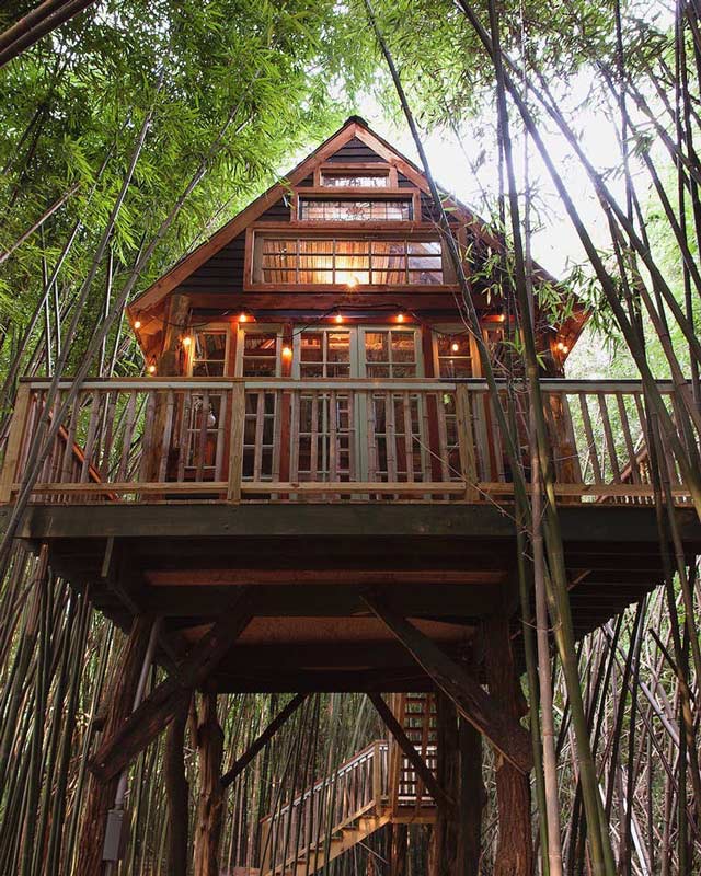 A Tree House — Lexington, KY — Fantasy Stays