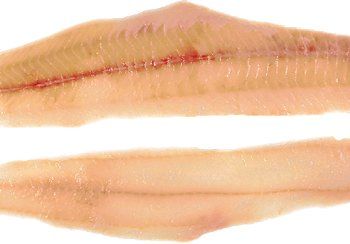 Two raw fish fillets, light pink with visible bone lines.