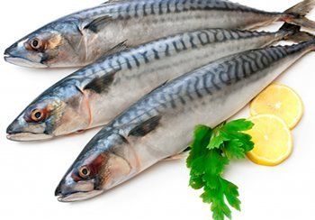 Three raw mackerel fish with blue and silver stripes, lemon slices, and parsley on white.