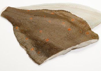 Brown and white flatfish fillet with orange spots.