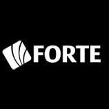 logo bruno forte