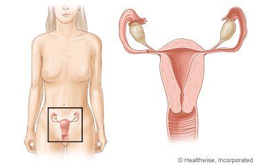 Learning About Future Pregnancies & Diabetes