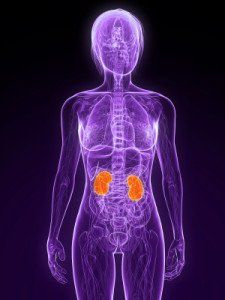 Purple Xray