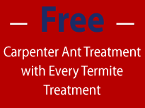 Special Offer — Animal Control Services in Pine Brook, NJ