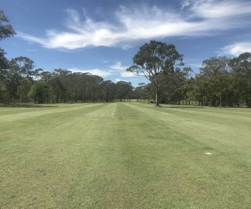 view of a lush green golf course