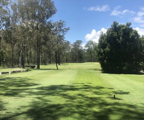 view of a lush green golf course