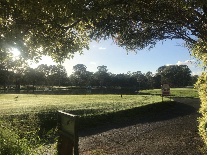 View of a golf course