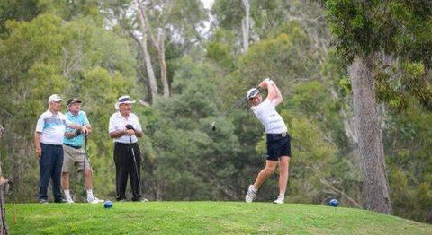 people playing golf