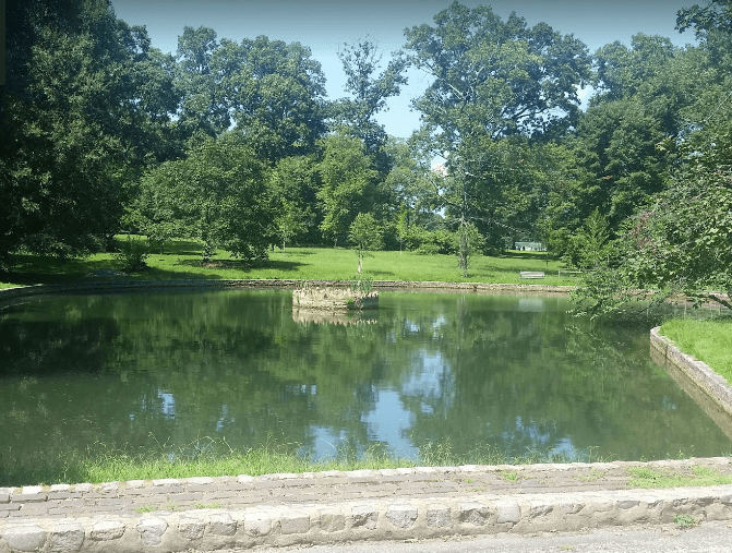 There is a pond in the middle of a park surrounded by trees.
