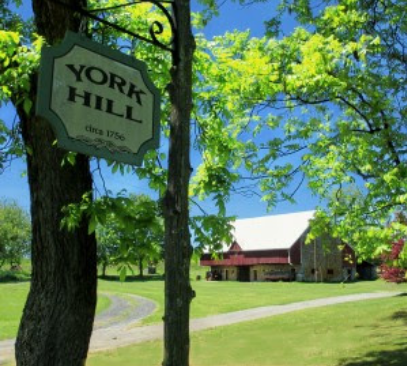A sign for york hill hangs from a tree