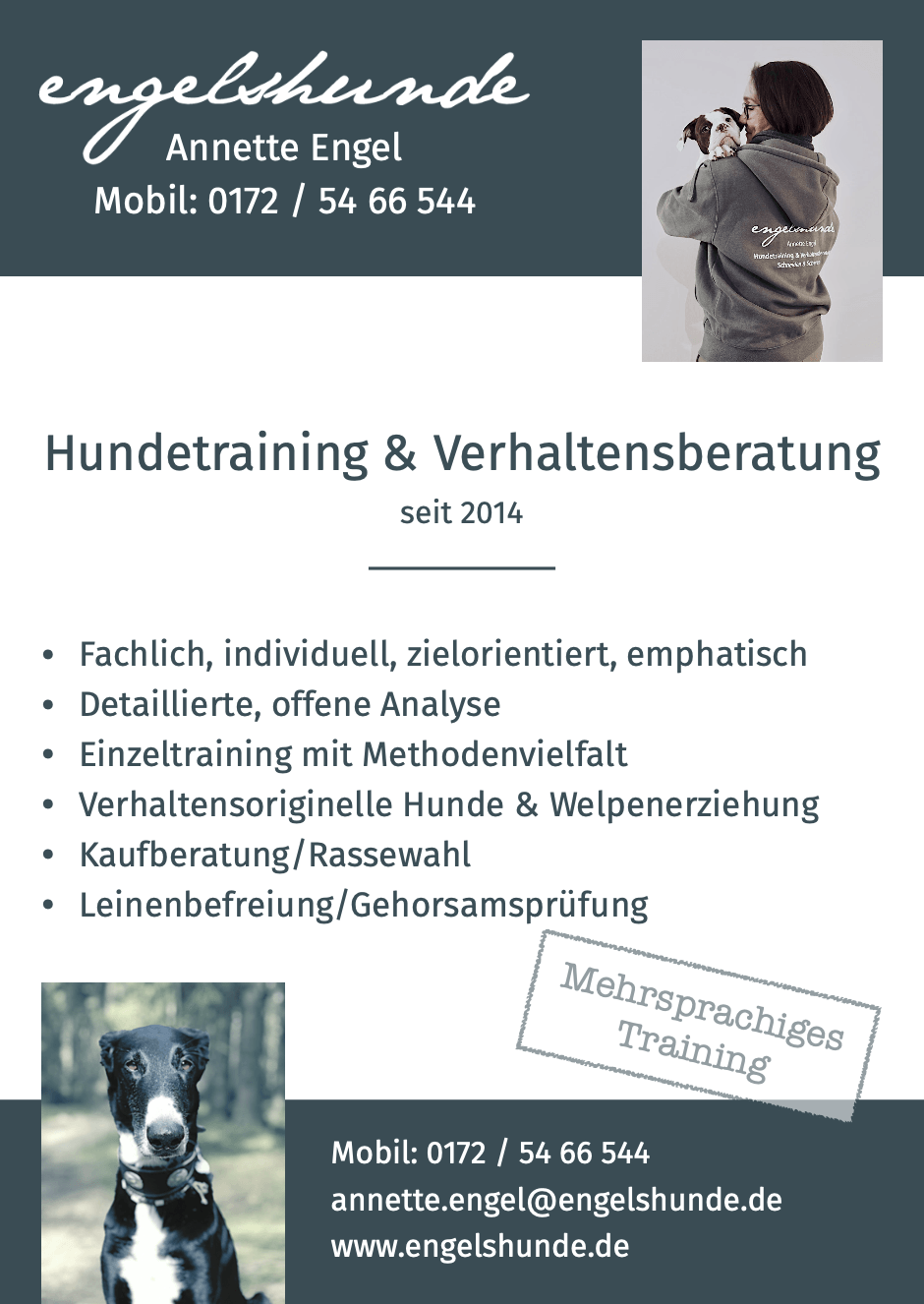 Hundetraining & Verhaltensberatung